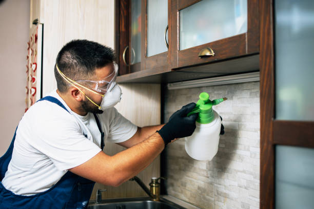 Pest Control for Restaurants in Harkers Island, NC